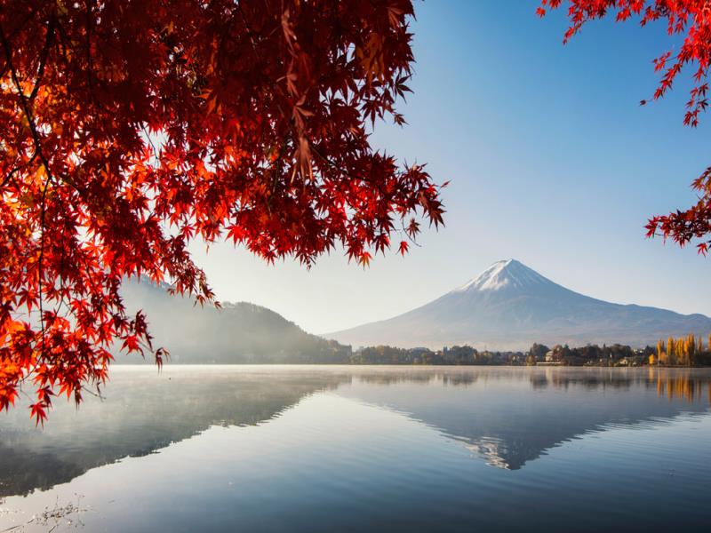 JAPONYA TURU